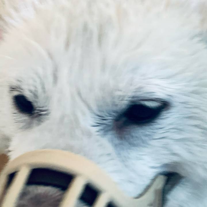 112abdbe e24a 4acc a1d0 124181d65aee 1652749021407