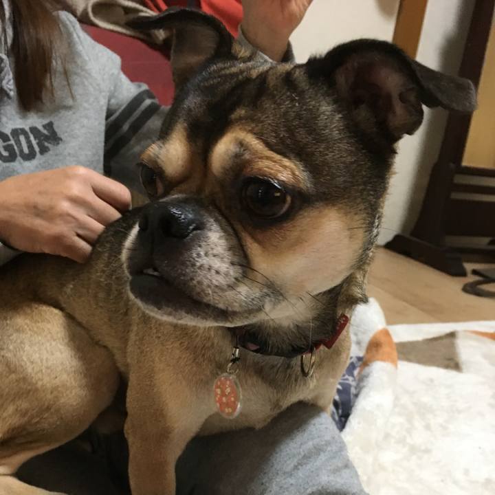 112ad688 960a 4b5a a215 4869e6436502 1509345889952