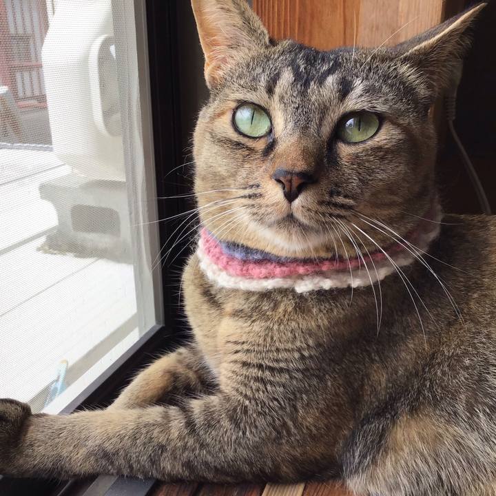 112ae5a4 4c1c 48fd b2b5 ebbd65a4041c 1624150227191