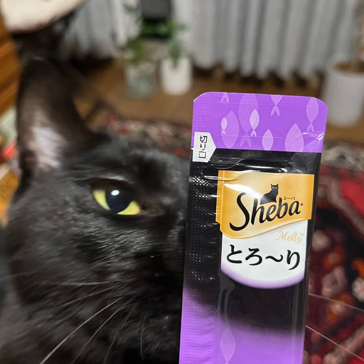 112afc21 a4bc 405d 9f41 2c68f82e315b 1734528894853