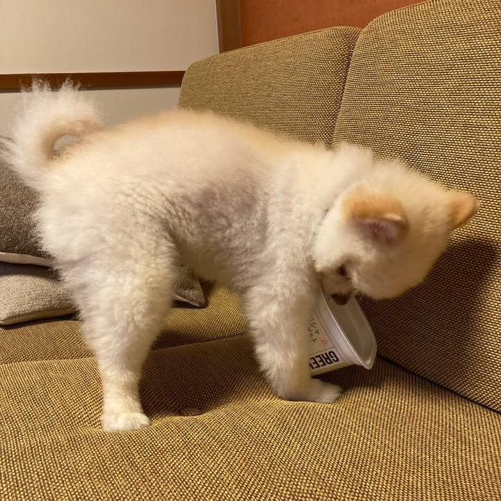 112afd69 ec3f 4404 bea5 881a487b9773 1633006527044