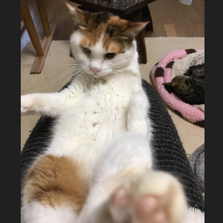 112b16be fded 4431 a881 fa88b15bfc57 1617061067904