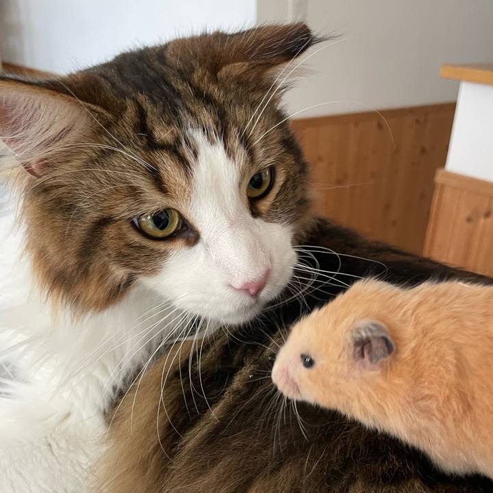 112b46fa 33b7 40f7 bd63 893411700ebd 1655675575311