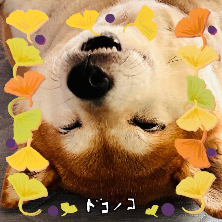 112b7de0 6e8f 471f 85d3 ef4c0fa74963 1729311831779