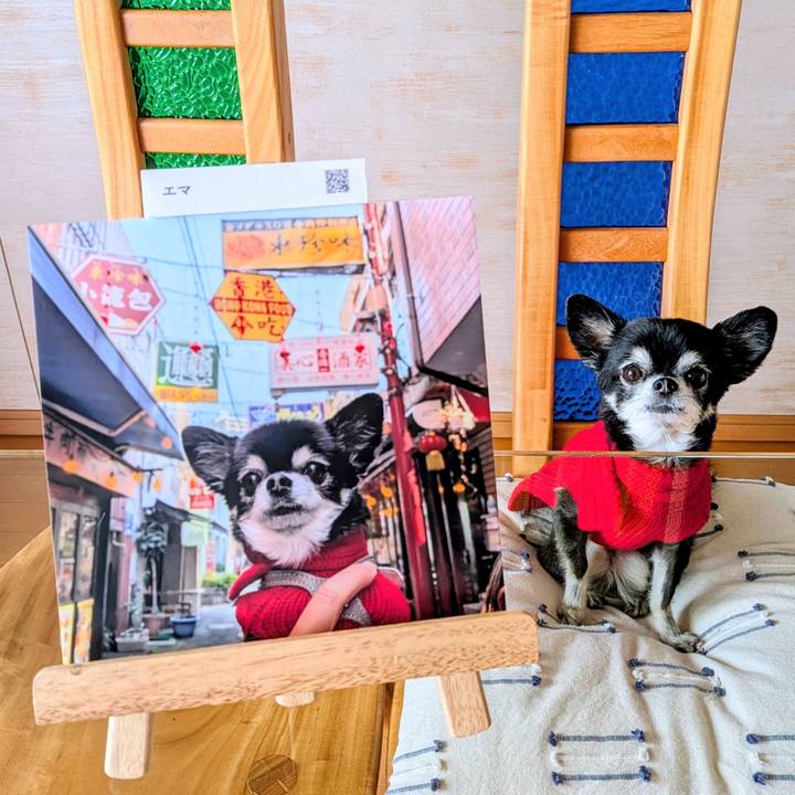 112b8d53 4a87 41c1 9b4f 73217509bb15 1768094063349