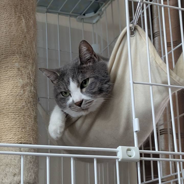 112bb76b d312 41e2 a817 a7e681432f96 1747292563938