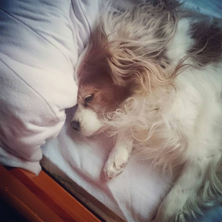 112bcd66 baf9 4f49 866c 3376e6cfc390 1525306429641