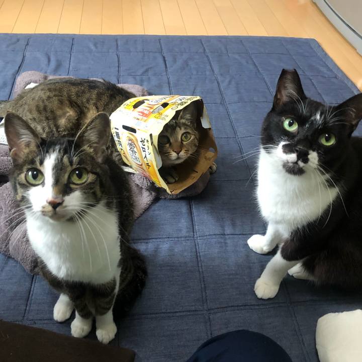 112bd6b7 9fec 42f8 b96b 070b904ee13a 1653079565317