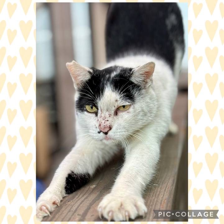 112be4de a497 447a a7bb 70e4e1f5bf37 1761788682116