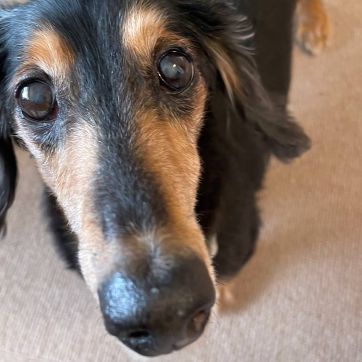 112c2b74 cb0c 4b2d 94a9 db93d7893fee 1665643842216