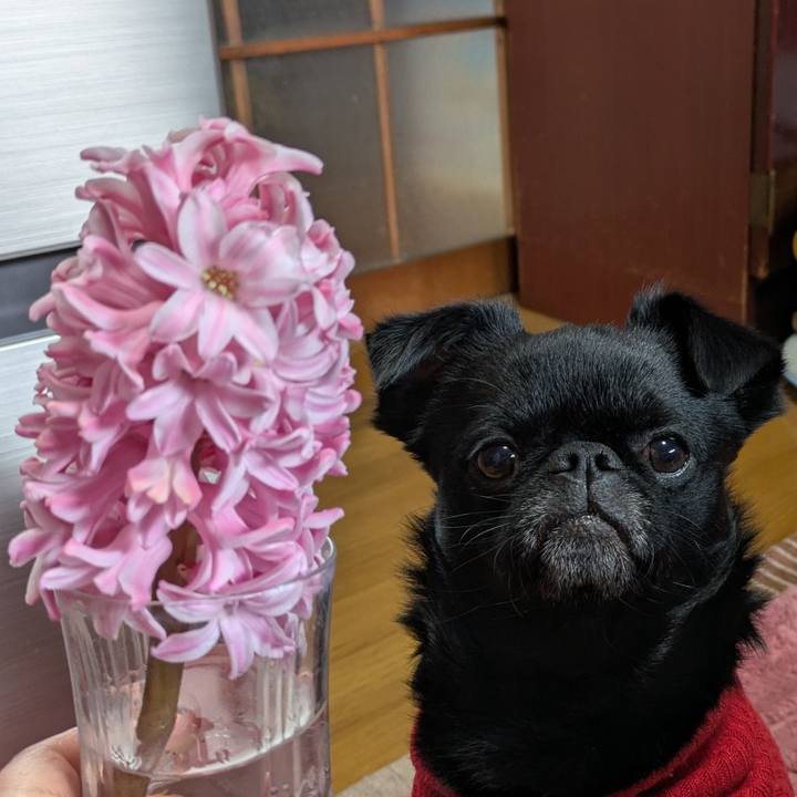 112c30ca 9d13 4366 83d5 1eea5508261d 1773018454452