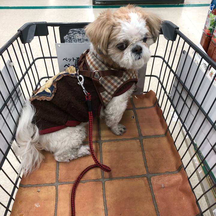 112c4570 dcee 401b 94bc 743a0069c761 1548366934416