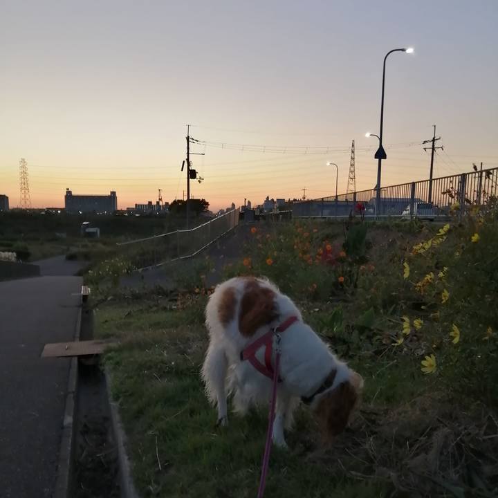 112c45a6 b7f0 4a27 89fe 4adf07e0c243 1603799607752