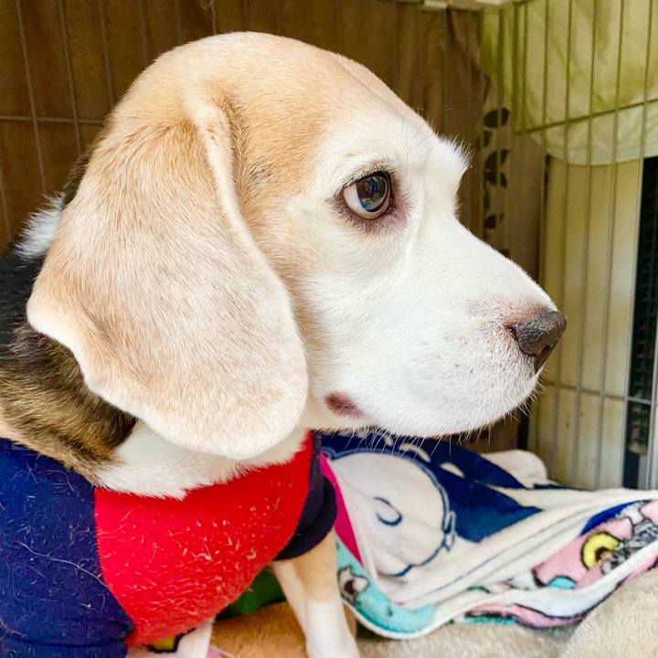 112c8958 4b73 4a6f 8cc2 6ab321760ec8 1768453503344