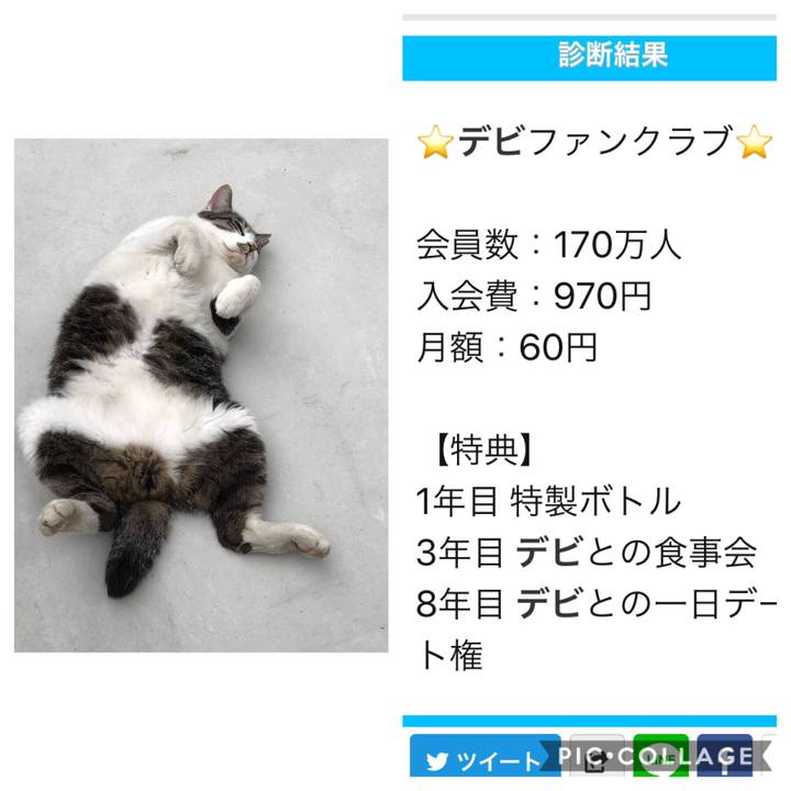 112cb914 3ef8 4bd5 8b89 ebd6a84dd6ee 1568547925410