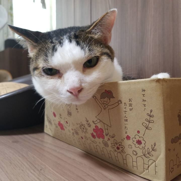 112cdc54 21ba 4254 bd7c 02dad98ca662 1593726056045