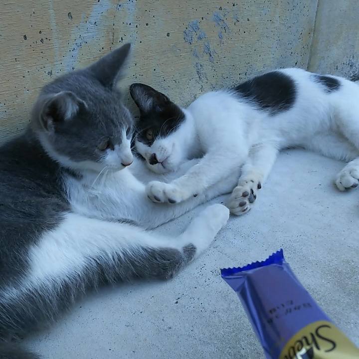 112cf955 1559 48df a99d 944cbe6f64b3 1556058357229