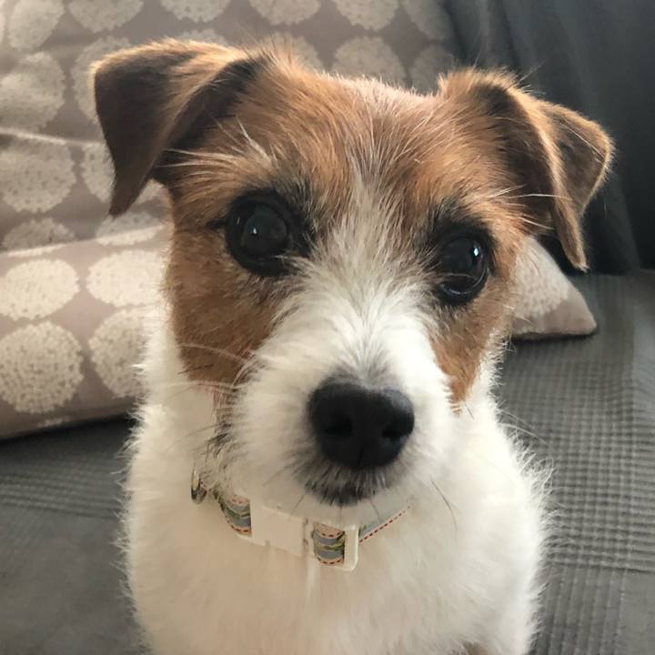 112d124b 79ee 42ed a92b 86c229f49121 1593033491462