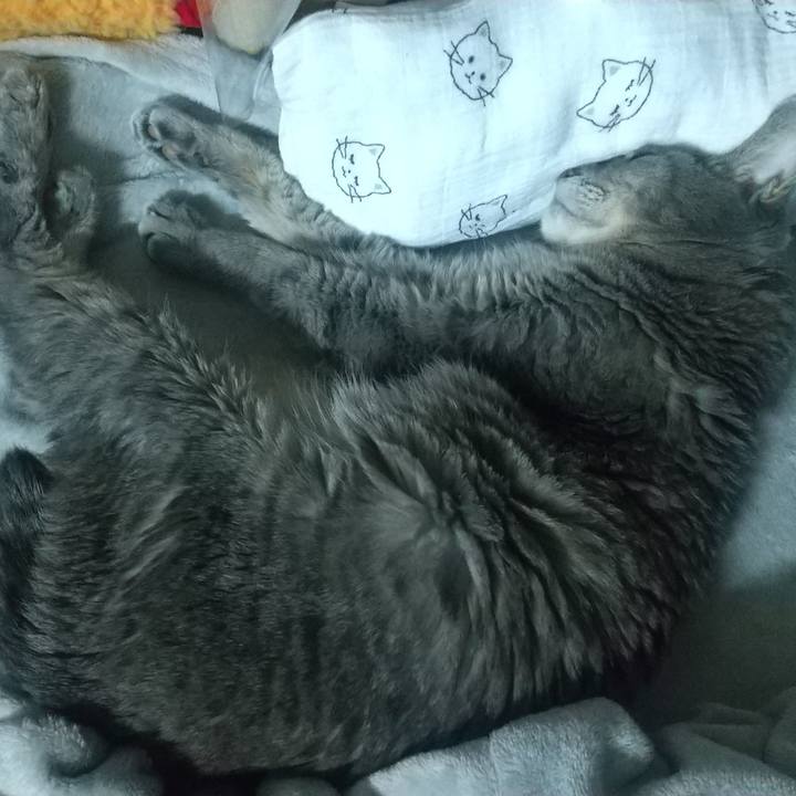 112d2e4a ac32 4739 bc73 23a635d802ac 1698001382142