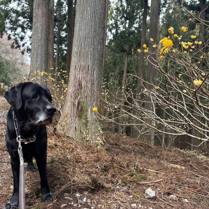 112d6fa4 37a8 42e0 91bc ee834591230c 1773487088567