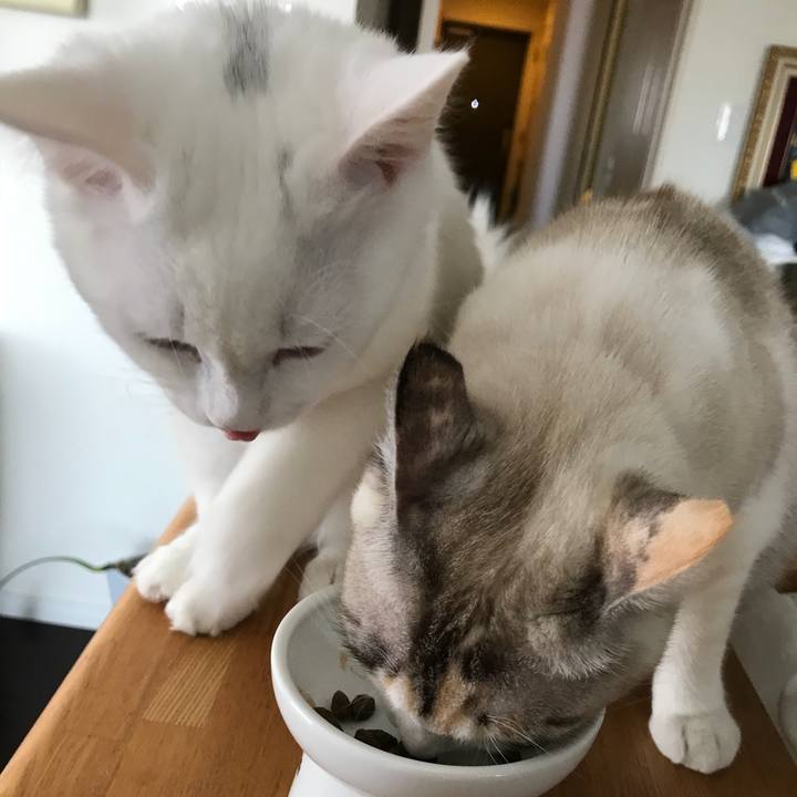 112d78dc e2e2 41d4 9ac7 060125ea6fe9 1512963721040