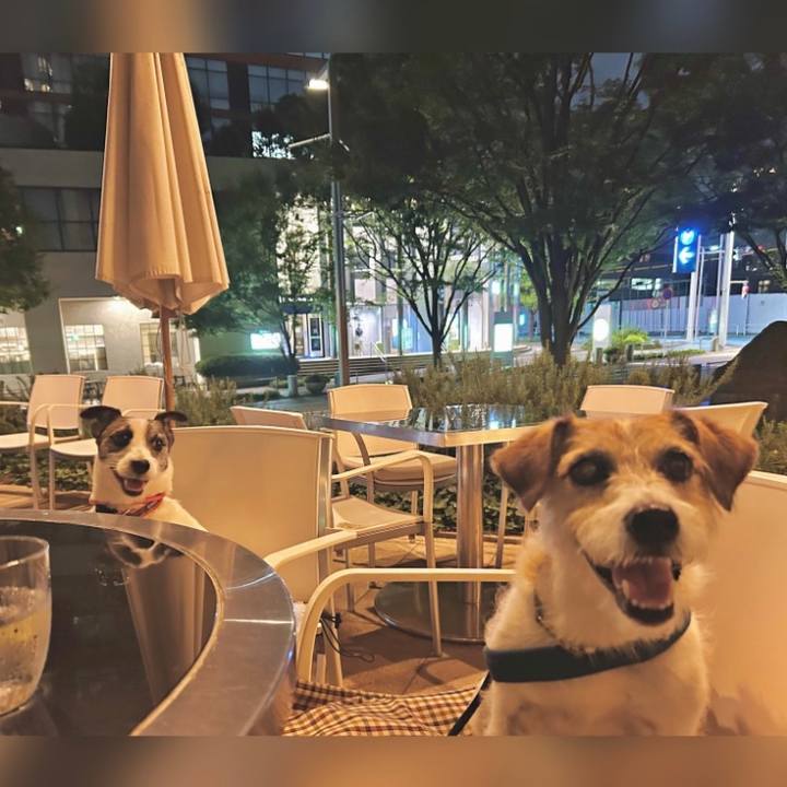 112d916a 1c76 46af a13c dcf2cc79851e 1755084541182