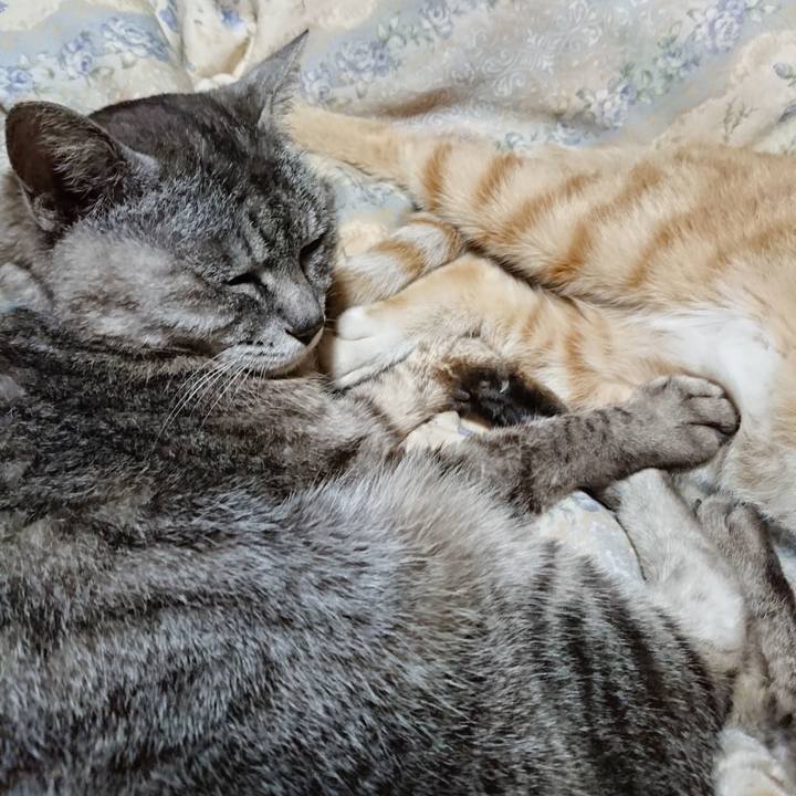 112dafb6 4c67 43e7 98d9 f32363984ba8 1563719262981