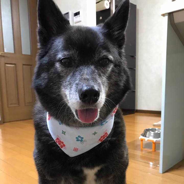 112dcdf4 a32f 4f39 8833 983070d0552d 1557105636454