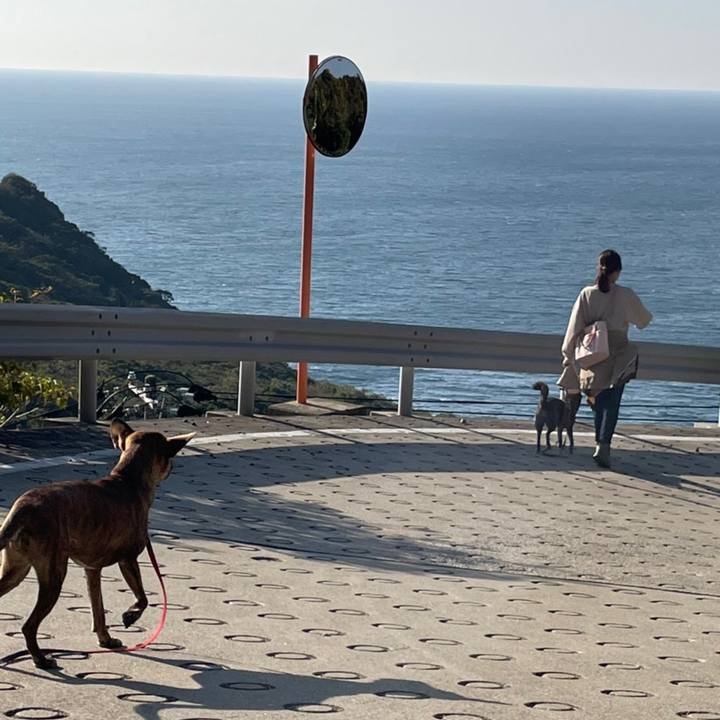 112ddf59 116e 487b a9f0 e1a3564f1c78 1668133199273