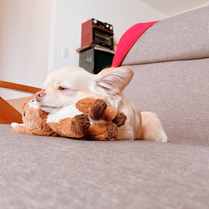 112e06bf d71e 4ca5 992c cc6560b8863c 1657595283703