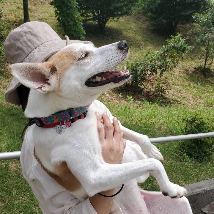 112e0757 5c91 4aa7 8ecd f9a3cc2ee759 1599355204260