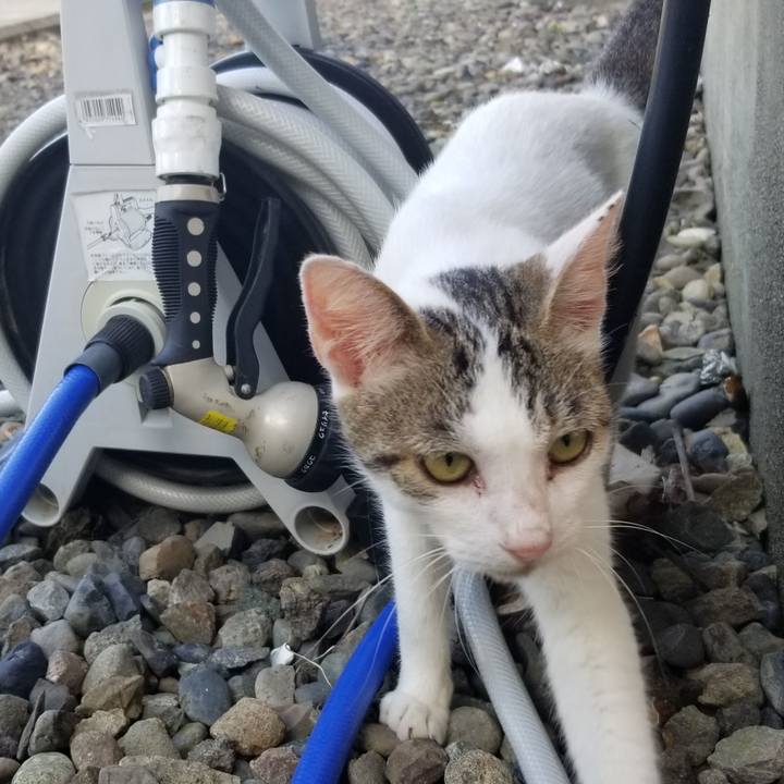 112e0998 de65 4882 9d2c f2a6dfd63dfe 1693487824718