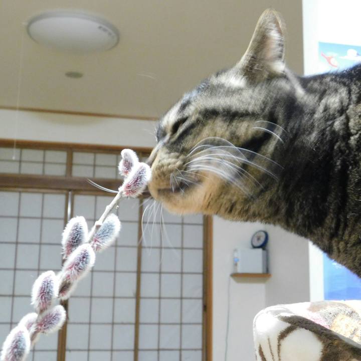 112e526a 6fe4 4808 9fed 43bb0826442e 1519234063315