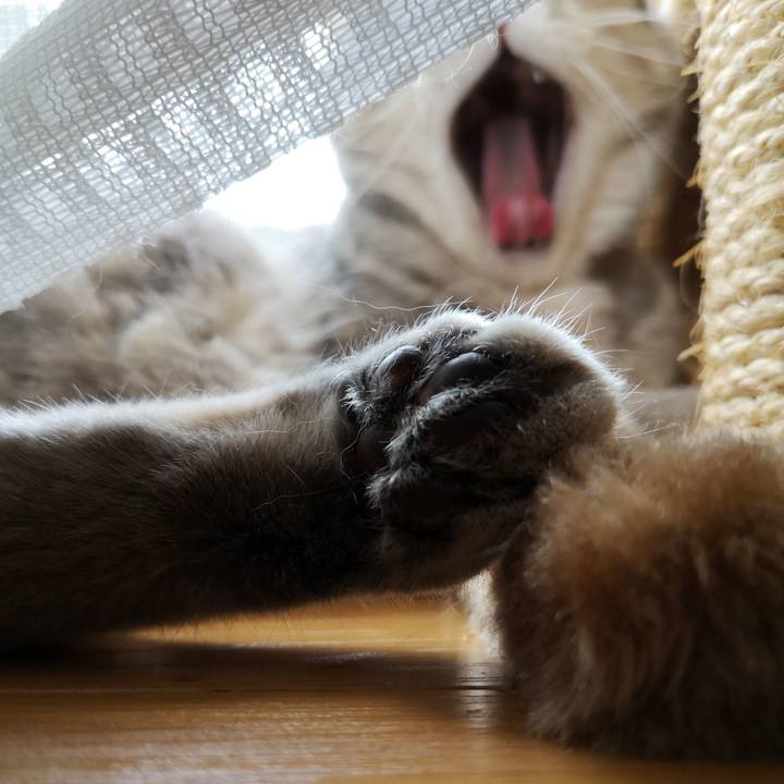 112e6bc7 1ceb 4778 82d0 3fcce0727ee8 1557128943305