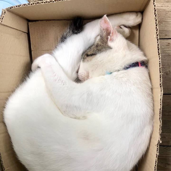 112ec562 c41e 421b adc3 82f749f31e45 1535856129257