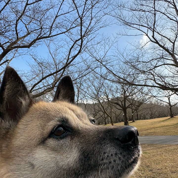 112ed636 c756 4031 a756 7c79bd584361 1739003567186