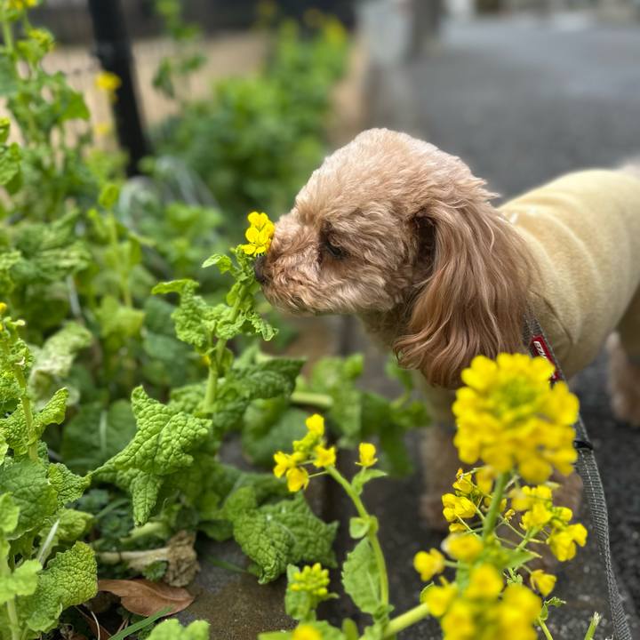 112f38f4 cd35 4c22 b764 c456c5268f2d 1771313153328