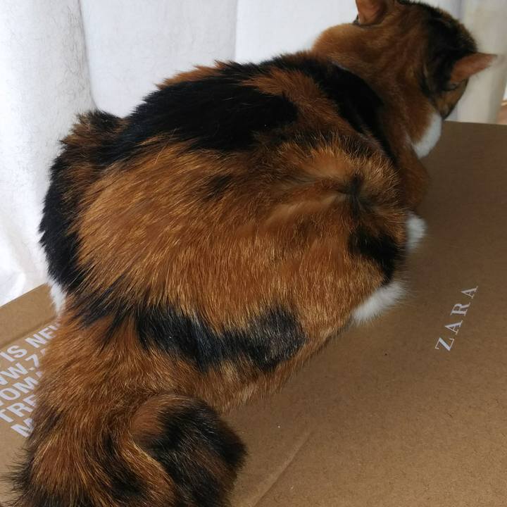 112f5ce3 c8ca 4406 bd67 0171c0b86991 1534110595105