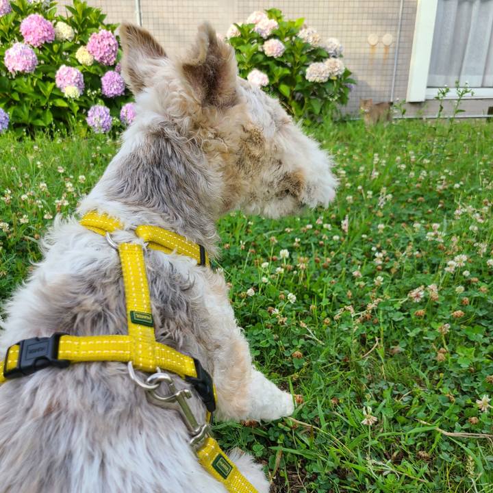 112f6e81 ec2f 400e abef 23ede439522c 1656370629492