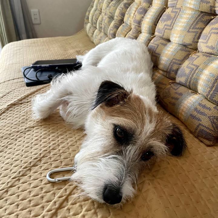 112f8592 11ff 4638 b7a6 893c5123bbd7 1690093897232