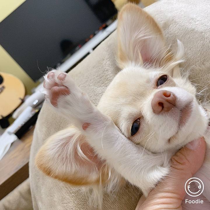 112f982f 221f 4e86 ab75 9cf729854ef6 1604719968629