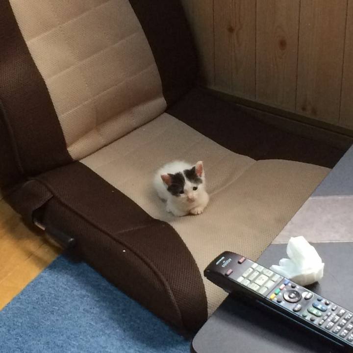 112fbcef a648 4744 b8a8 67178f2b5ec2 1531126269396