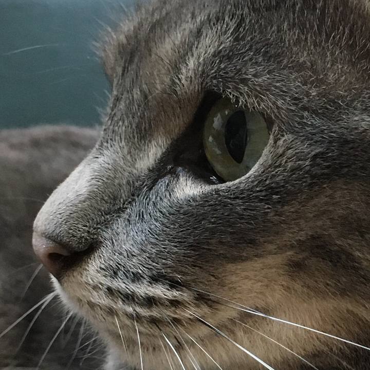 112fd2ea eb4b 44e2 908e 1926884234ee 1591407450365