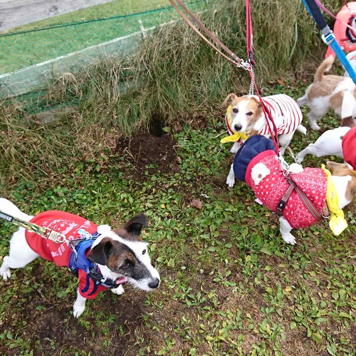 1130094b a8c0 45c2 a255 e4d5438ececf 1541978900312