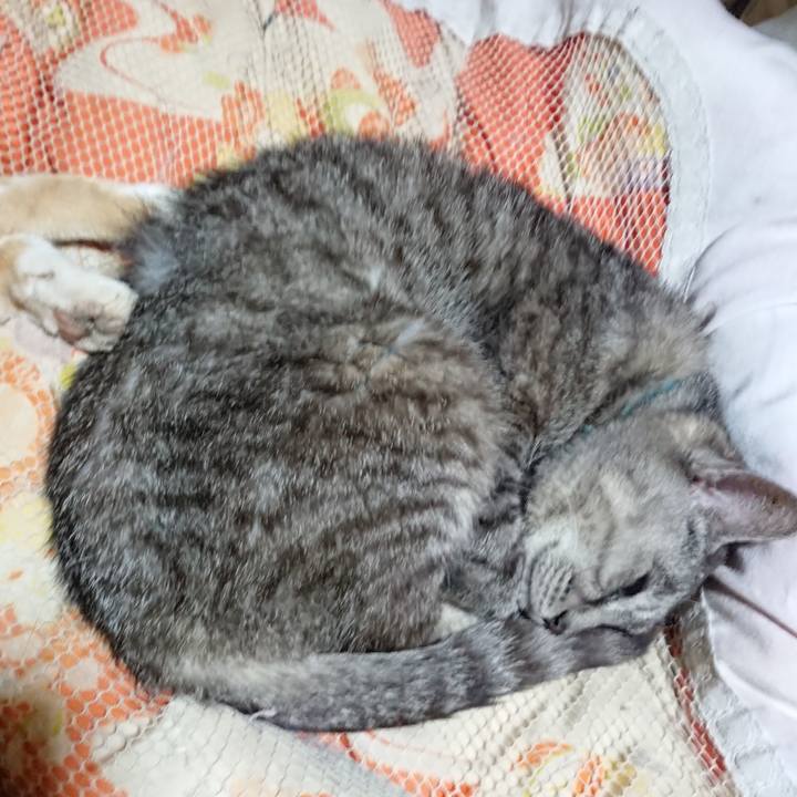 113028dc 839e 4fe9 b4f9 d4e91b0daa21 1570112094986