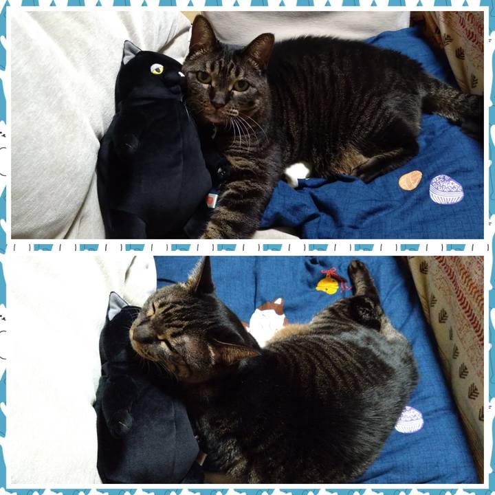 11305279 15f7 471d b90b db5fea6f7cad 1770214970108