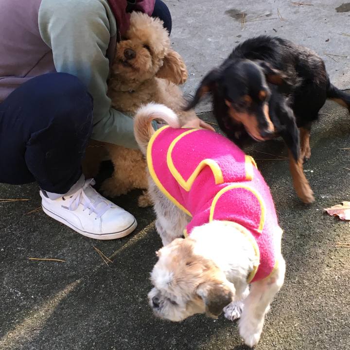 11307a0a d4d0 43b5 a2b1 8d1a936550a0 1511516084891