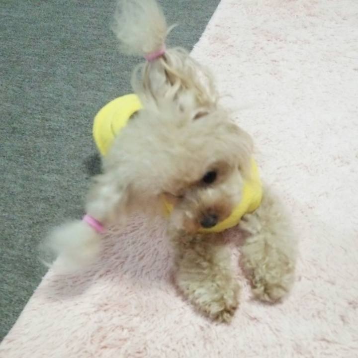 11309fde 23c0 47c0 9ec4 66920c4d14fb 1542715665826