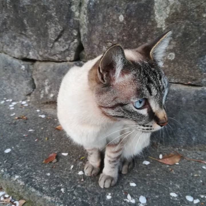 1130b7be 68a7 40c7 9e9d b530eeb8ee1c 1554378145706