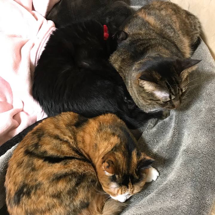 1130b96f 78f8 4300 b0e8 42e43a92f231 1542354624547